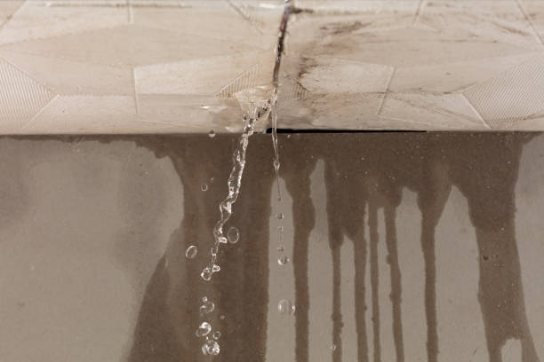 Professional Water Extraction technician working in Windsor, VA